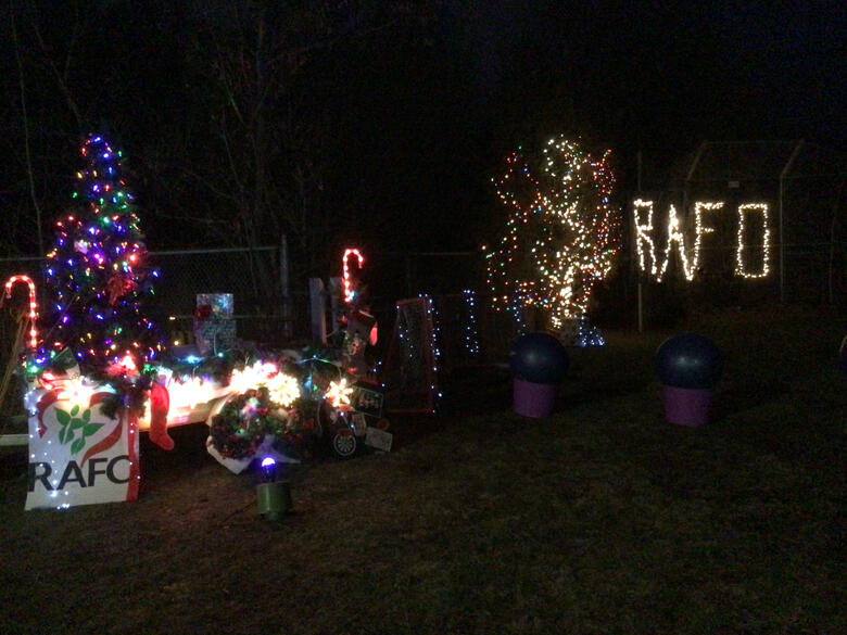 Illumination de l'arbre de Noël